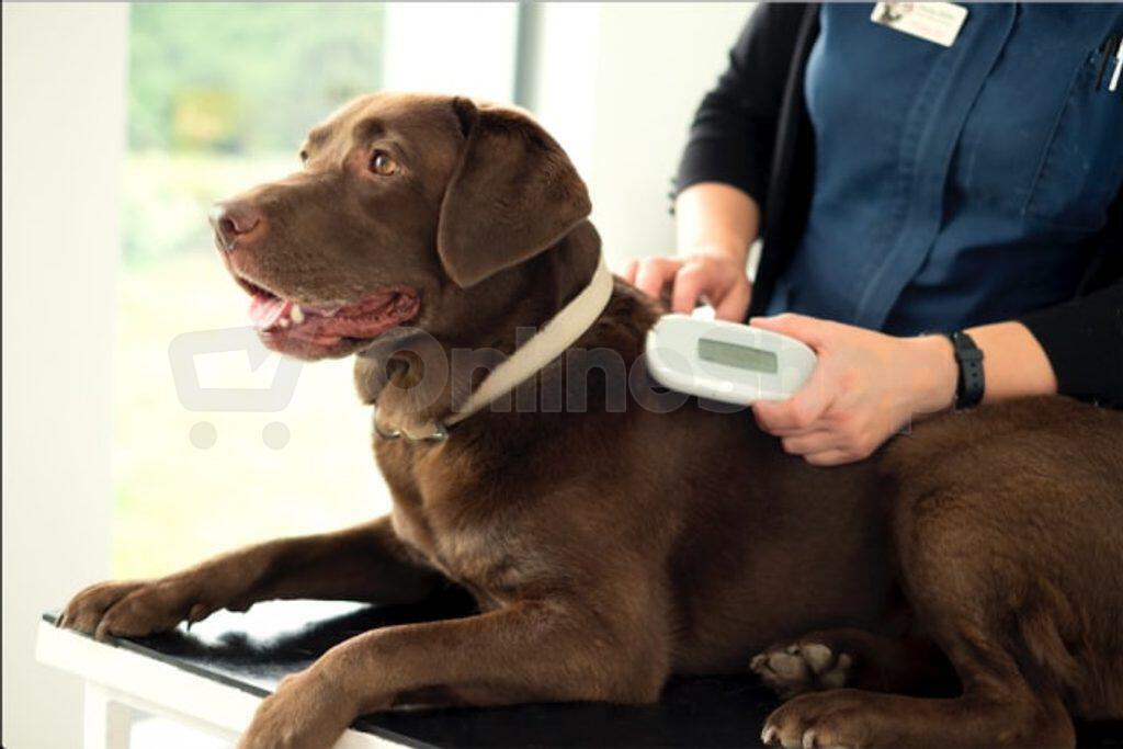 Čtečka čipů SureSense II SurePetcare