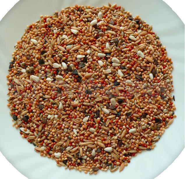 Avicentra Professional Agapornis 20kg