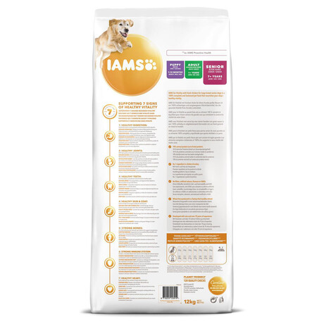 Granule pro psy Iams Senior Large Chicken, 12kg