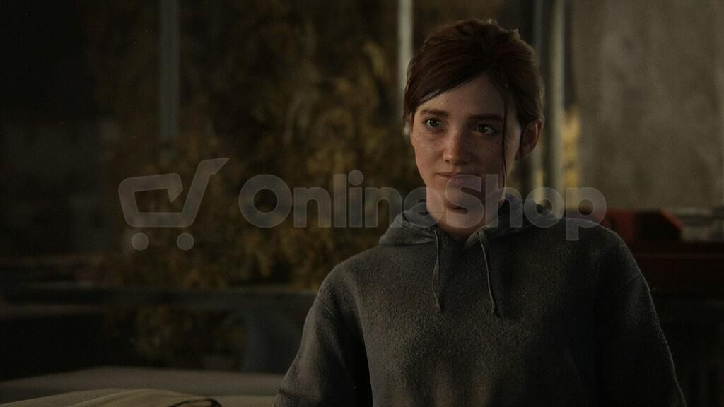 Hra pro PS4 SONY The Last of Us Part II
