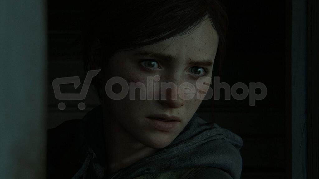 Hra pro PS4 SONY The Last of Us Part II