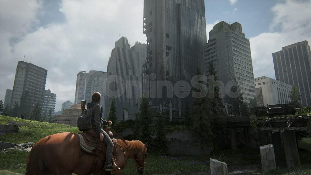 Hra pro PS4 SONY The Last of Us Part II