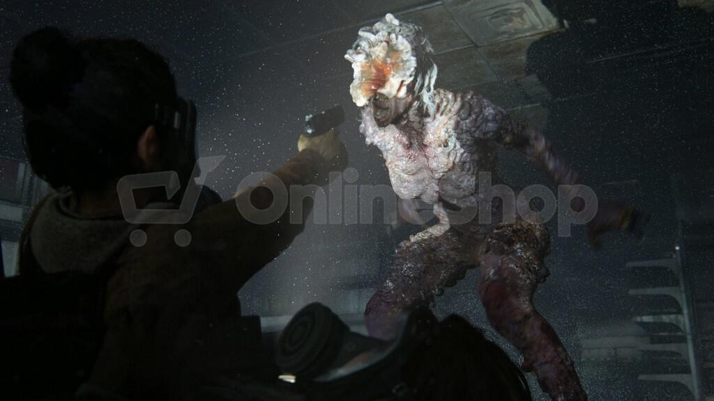 Hra pro PS4 SONY The Last of Us Part II