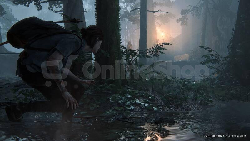 Hra pro PS4 SONY The Last of Us Part II
