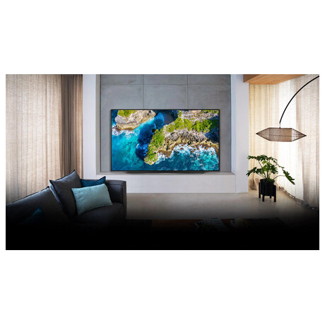 LG OLED55CX (foto 14)