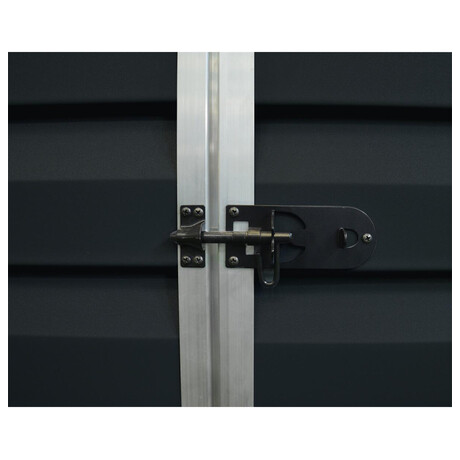 Palram Skylight 6x8, antracit (foto 4)
