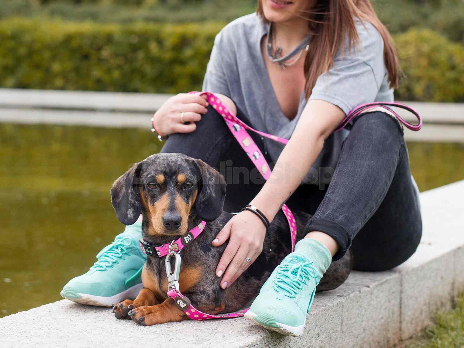 Dukier Obojek DOGTELLA velikost L