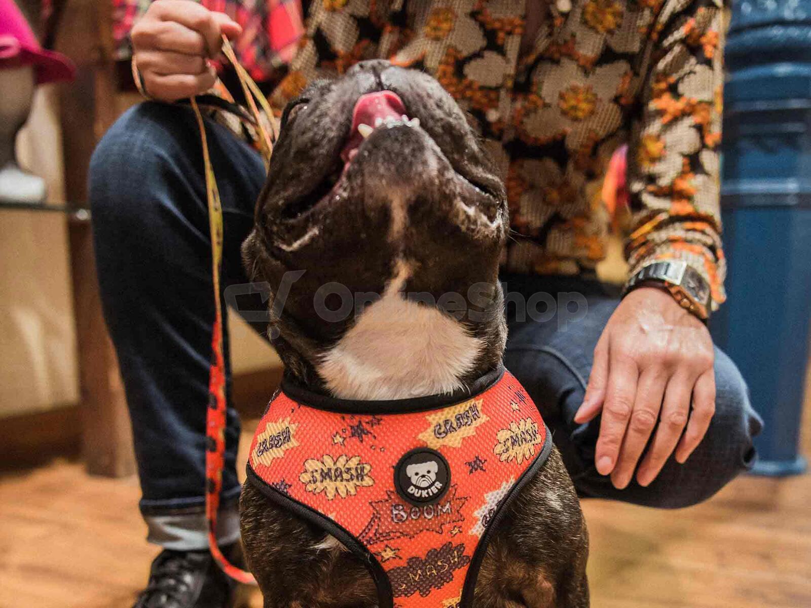 Dukier Oboustranný postroj SUPERDOG velikost XS