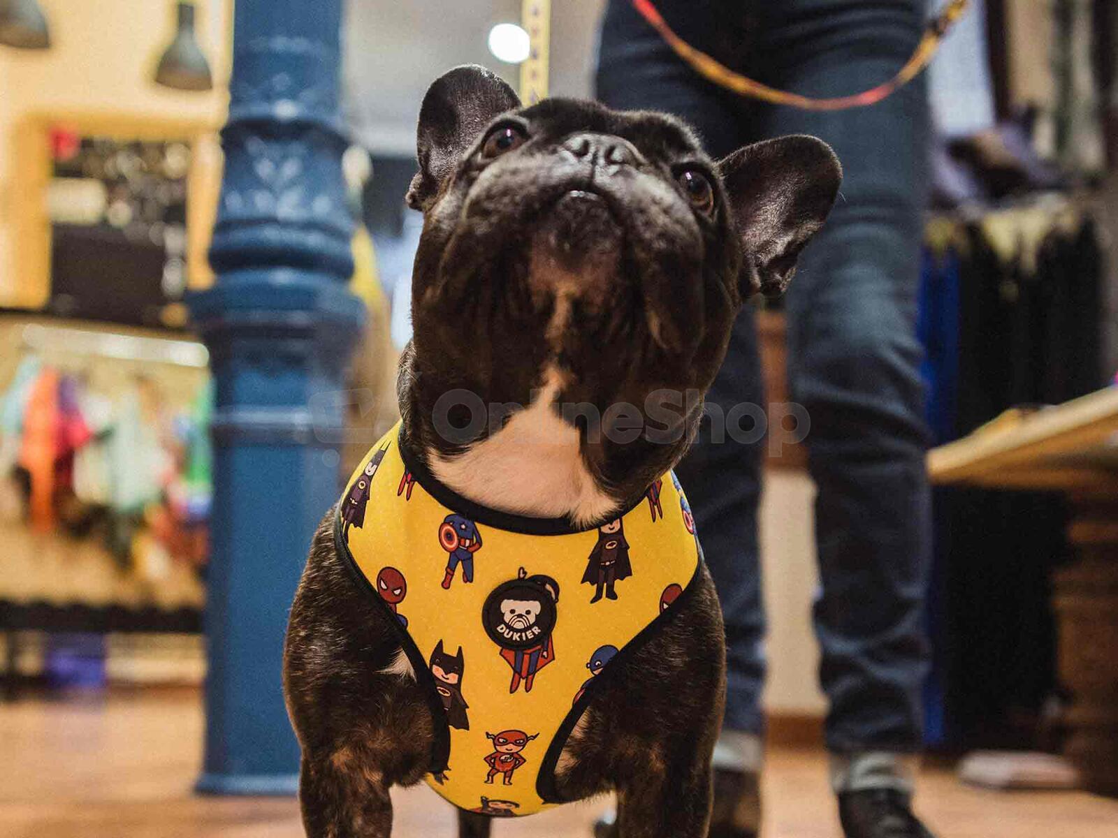 Dukier Oboustranný postroj SUPERDOG velikost XS