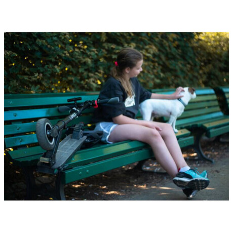 Elektrokoloběžka LAMAX E-Scooter S5000