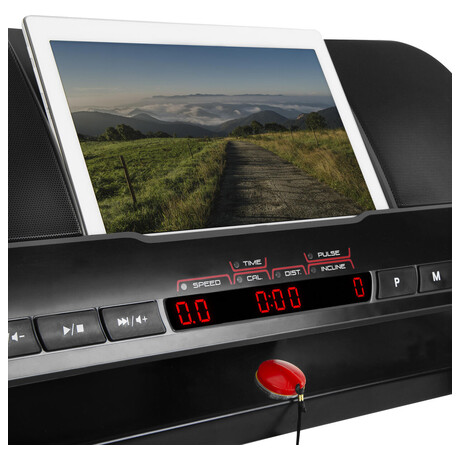 Beck ps Spokey MOVENA