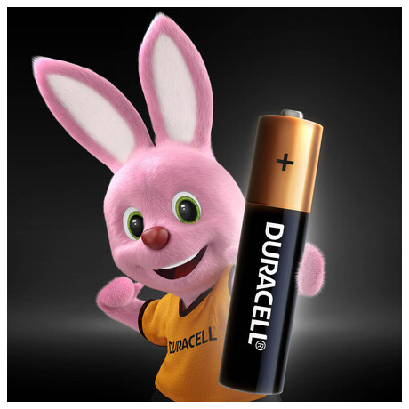 Alkalická baterie Duracell Basic AAA 2400 2ks