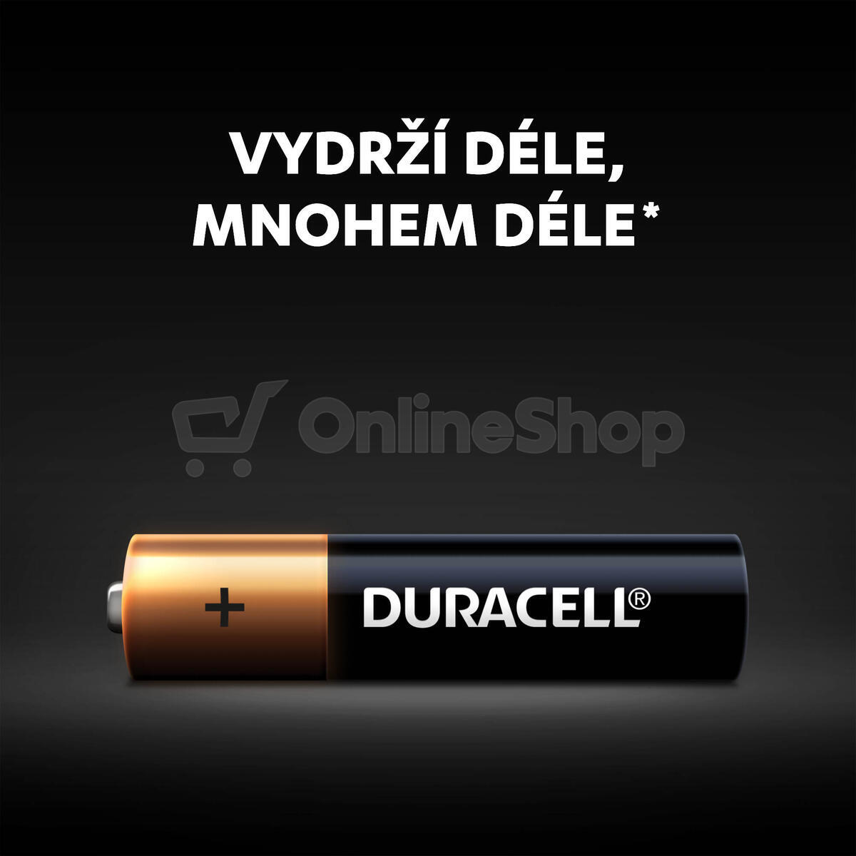 VÝHODNÝ SET 10ks AAA baterií DURACELL