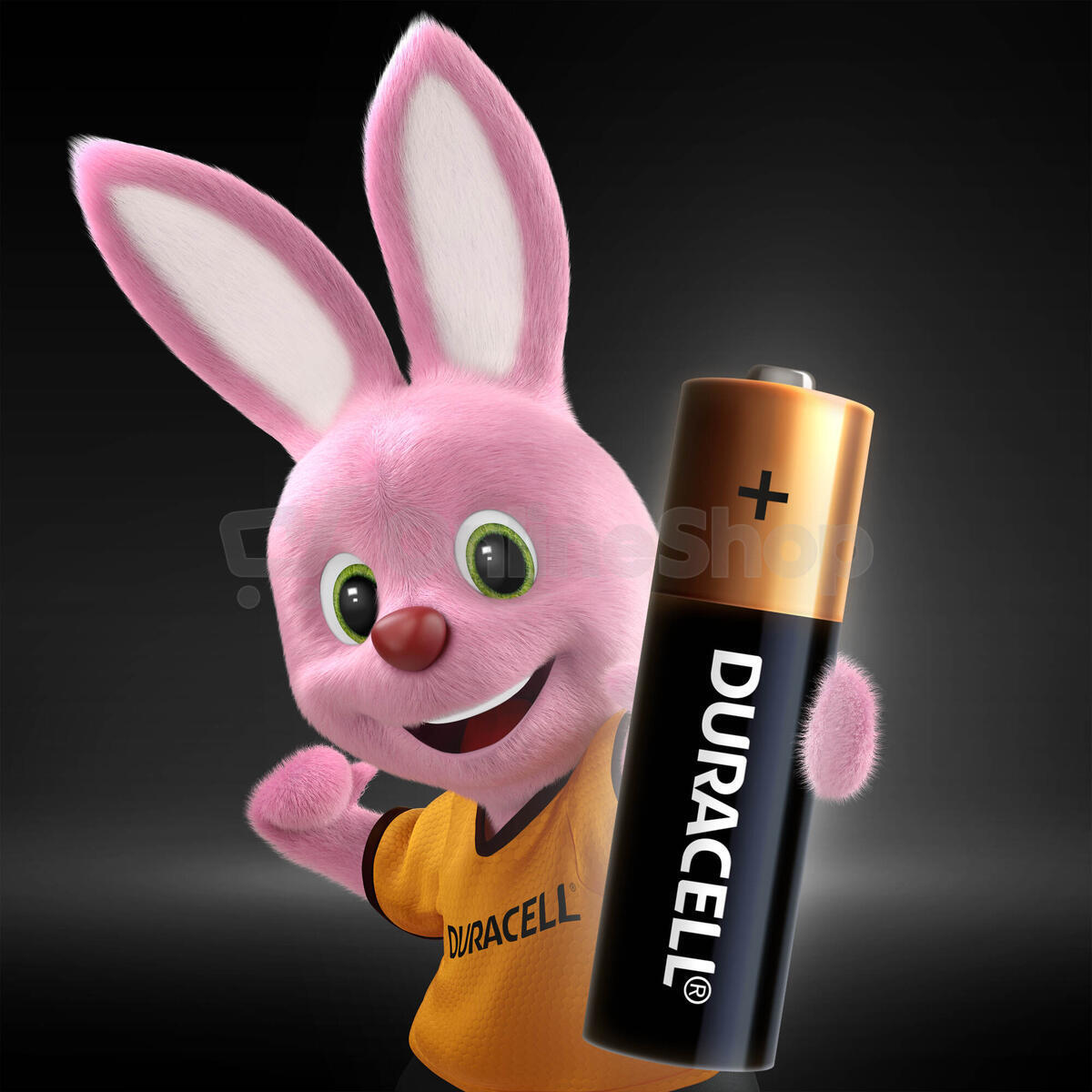 Alkalická baterie Duracell Basic AA 1500 2ks