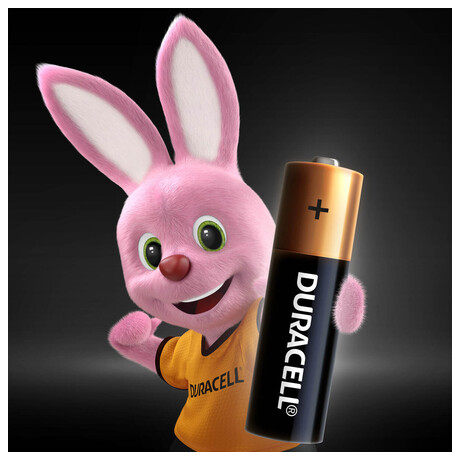 DURACELL Basic AA&nbsp;a AAA 20+20ks (foto 1)