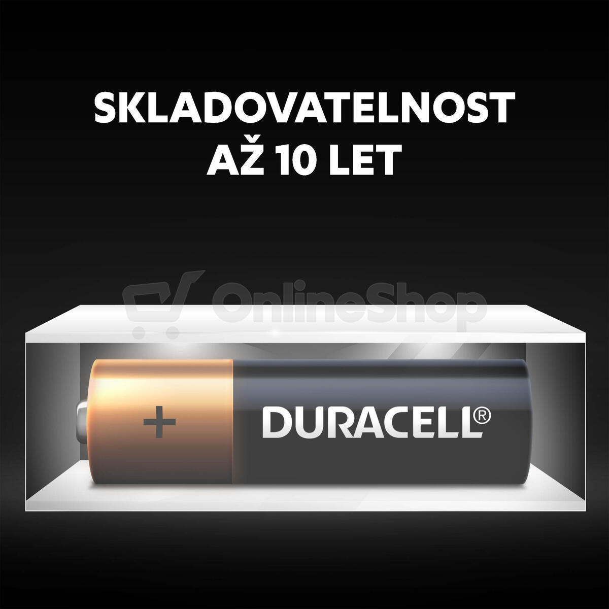 VÝHODNÝ SET 10ks AA baterií DURACELL