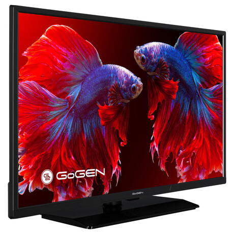 GoGEN TVF 32P559T (foto 1)