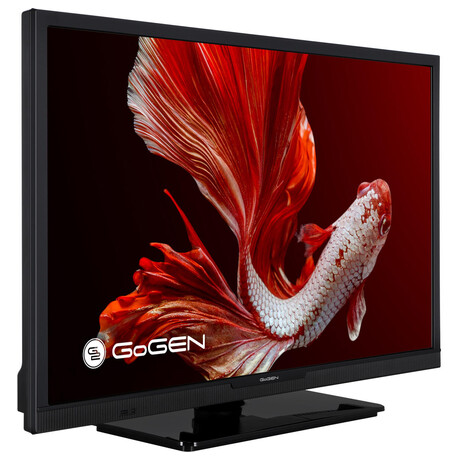 GoGEN TVH 24P452T (foto 1)