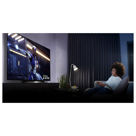 LG OLED55BX3LB (foto 13)
