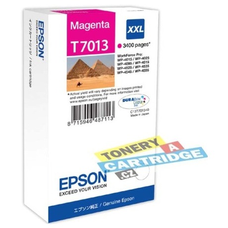 Inkoustov npl Epson T70134010, 3400 stran originln - erven