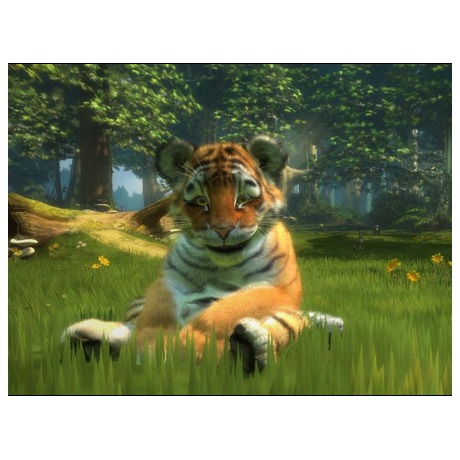 Hra Microsoft Xbox 360 Kinectimals Now with Bears (Kinect ready)