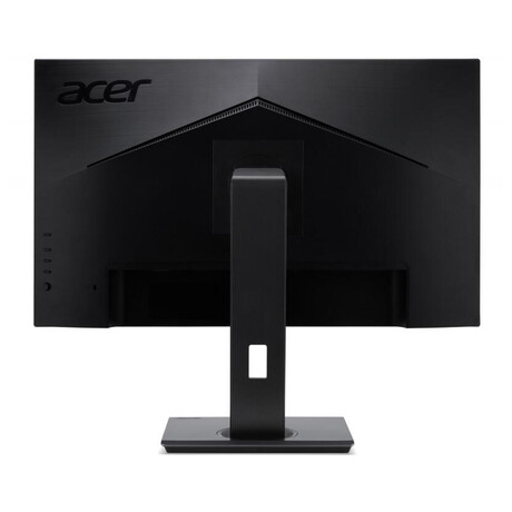 Acer acer / B247YC / 23,8