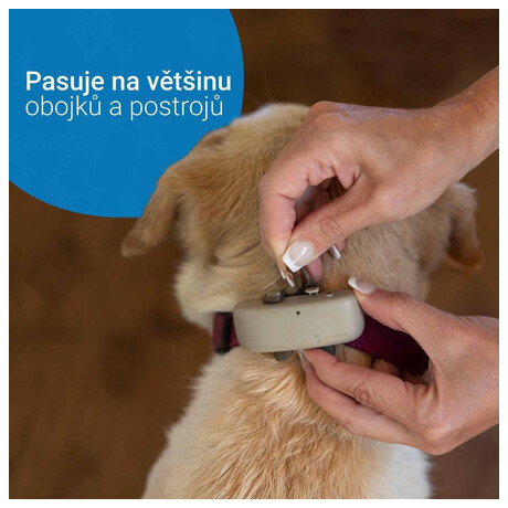 GPS Tracker pro psy Tractive DOG 4