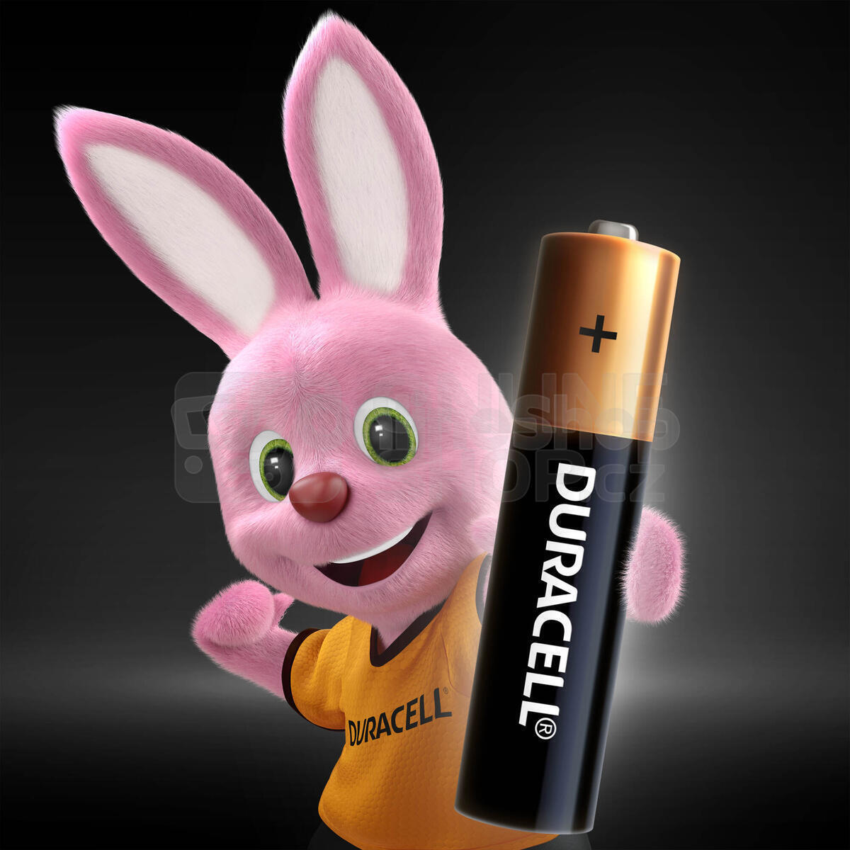 VÝHODNÝ SET 10ks AAA baterií DURACELL