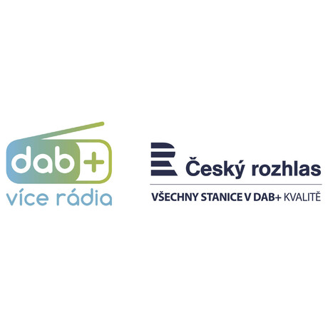 Radiopijma DAB+ GoGEN DAB 300 N, stbrn