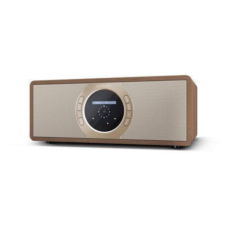 Sharp DR-I470BRPRO FM/DAB (foto 1)