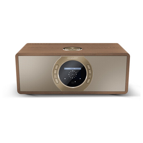 Sharp DR-I470BRPRO FM/DAB (foto 2)
