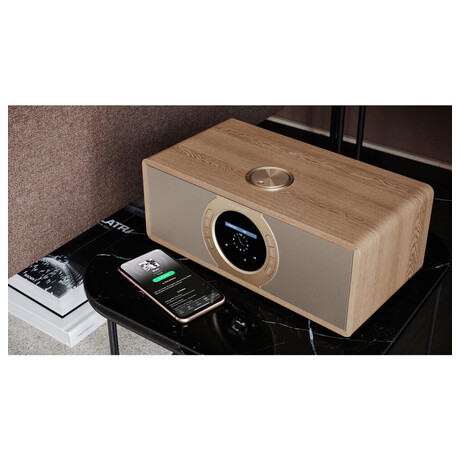 Radiopřijímač Sharp DR-I470BRPRO FM/DAB