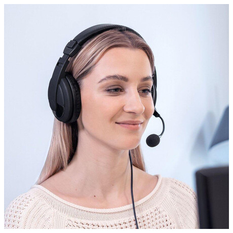 Niceboy VOICE Intercom