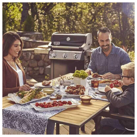 Weber Spirit E-315 GBS (foto 5)