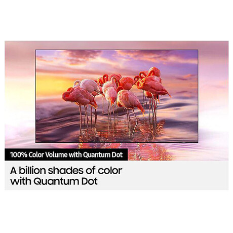 Samsung QE65Q60A (foto 6)