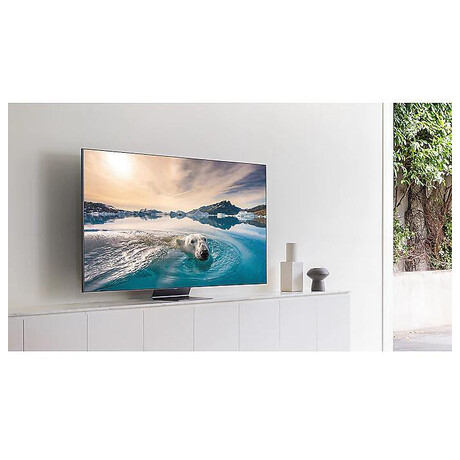 Samsung QE55Q95TC (foto 4)