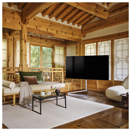 LG OLED55B1 (foto 12)