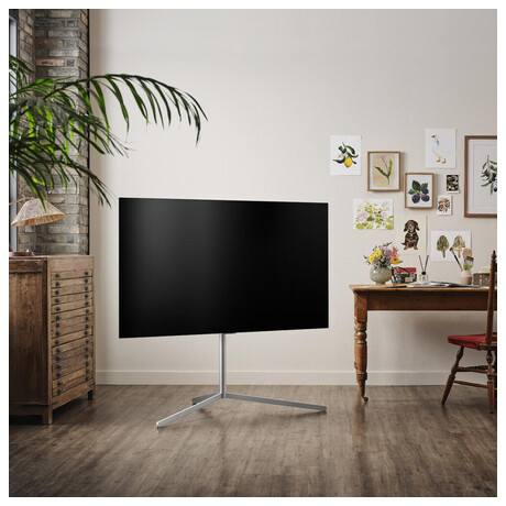LG OLED55B1 (foto 13)