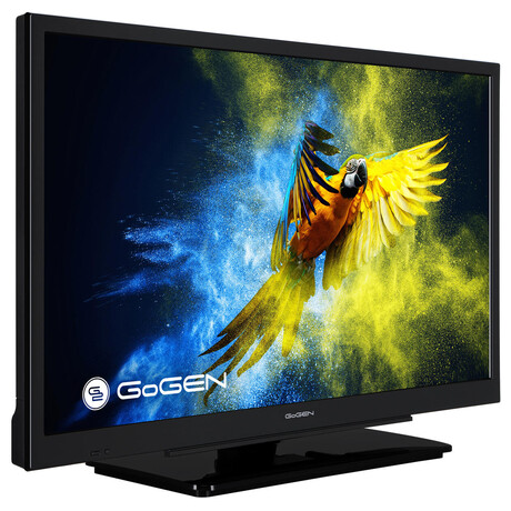 GoGEN TVF 22M302 STWEB (foto 1)