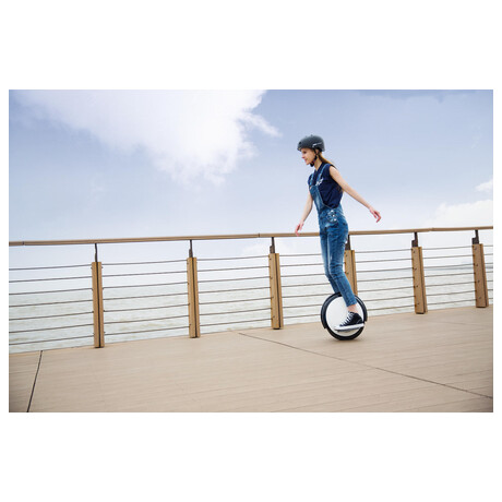 Segway One S2 (foto 4)