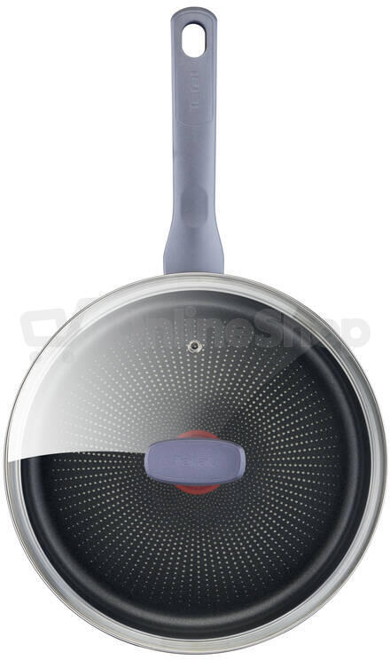 Tefal Daily Cook G7303255 pánev
