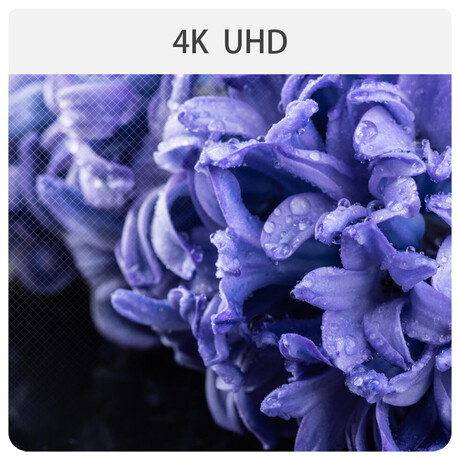 CHiQ U55H7A (foto 19)