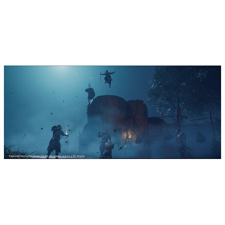SONY PS4 hra Ghost Dir Cut -&nbsp;Remaster (foto 2)