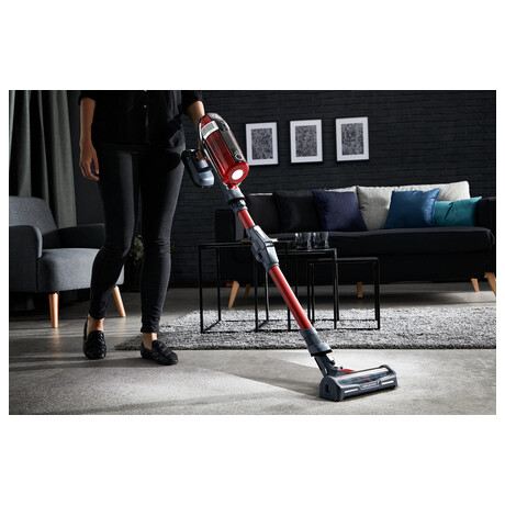 Tyov vysava Rowenta RH9878WO X-Force Flex 11.60 Animal