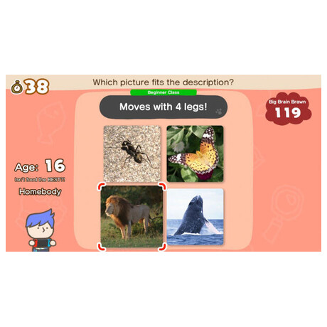 Nintendo Switch Big Brain Academy: Brain vs&nbsp;Brain (foto 4)