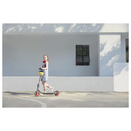 Segway Zing C20 (foto 3)