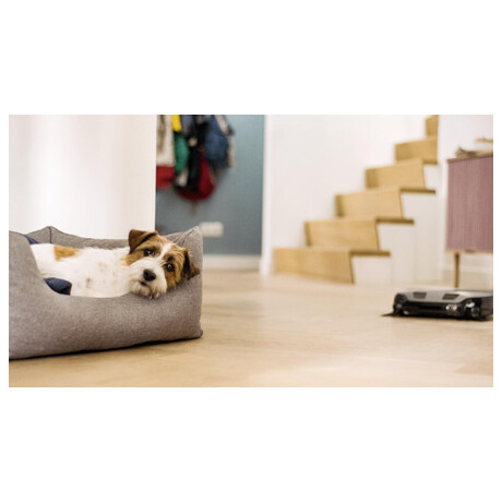 Miele Scout RX3 Runner (foto 10)
