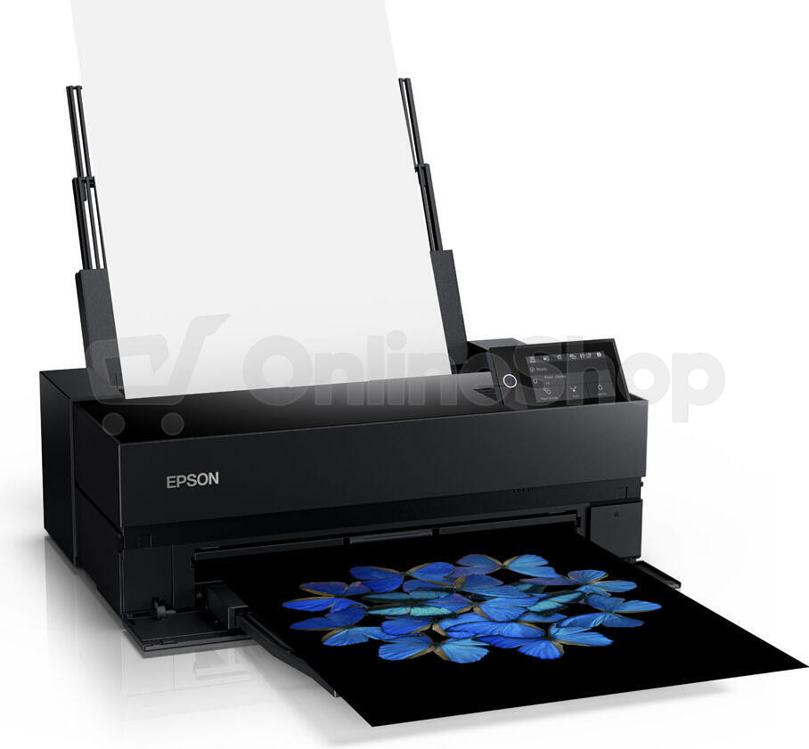 Epson SureColor SC-P900 Roll Unit Bundle (C11CH37402BR)