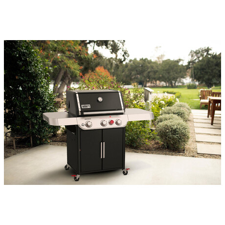 Weber Genesis E-325s (foto 9)