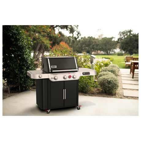 Weber Genesis EX-335 (foto 7)